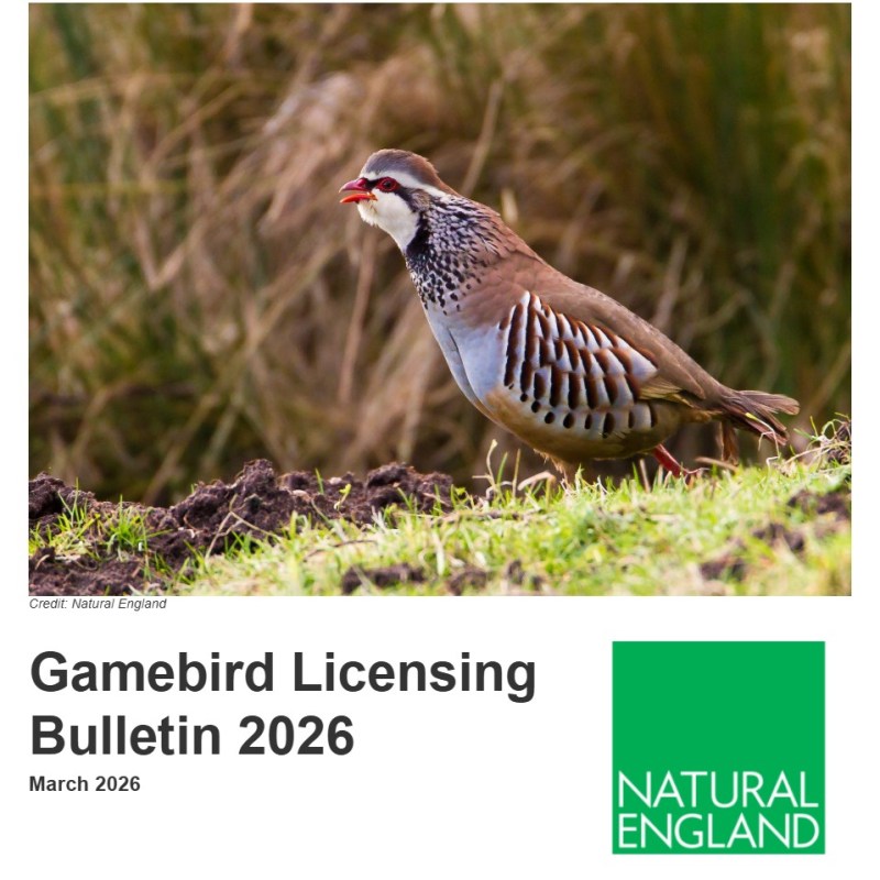 Natural England confirms tighter restrictions on gamebird releases on/near to Special Protection Areas in&nbsp;England