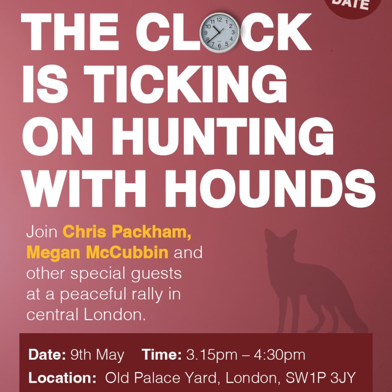 Hunting with hounds: Government consultation on strengthening hunting laws and a rally in&nbsp;London