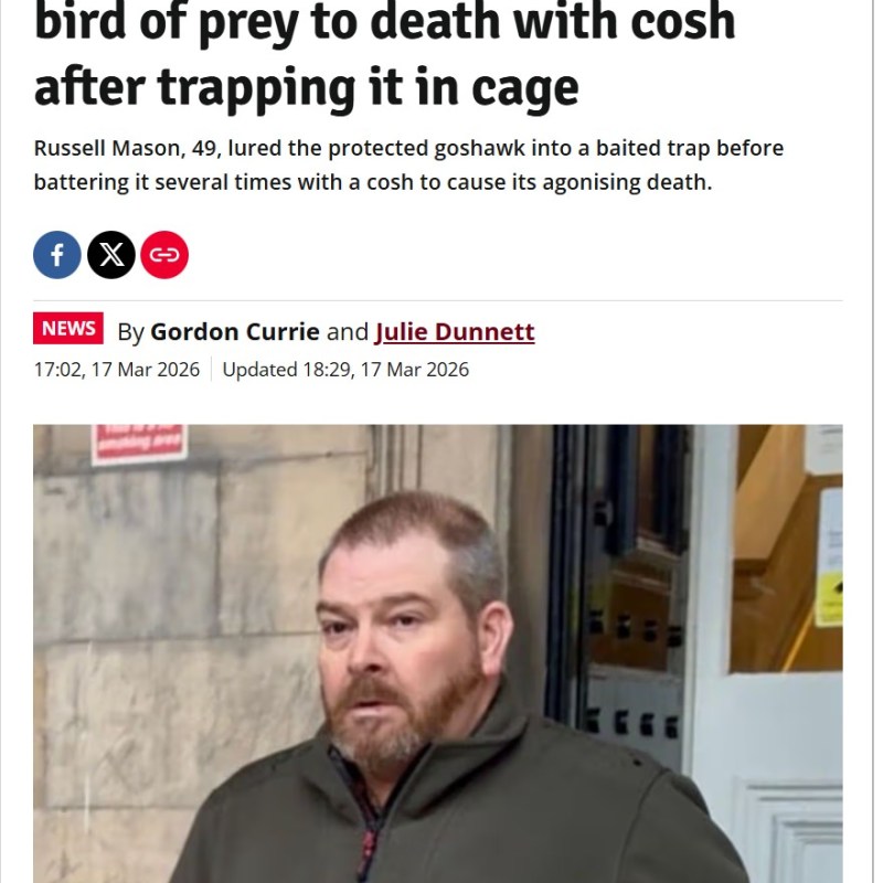 Convicted Scottish gamekeeper & former sex offender Russell Mason due to be&nbsp;sentenced