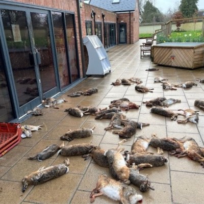 Trial underway for man accused of dumping 50 dead hares & two raptors outside Broughton village shop in&nbsp;Hampshire