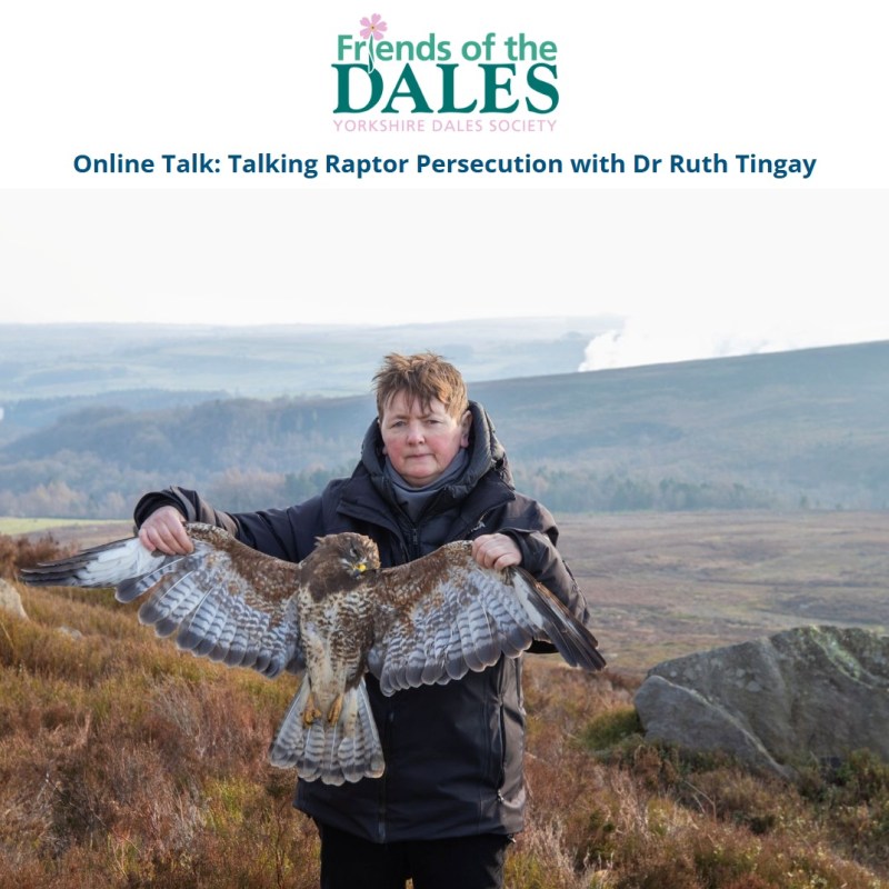 “Vindictive evil woman” and “Poisoned witch” to deliver free webinar on illegal raptor persecution for Friends of the Dales this&nbsp;Wednesday