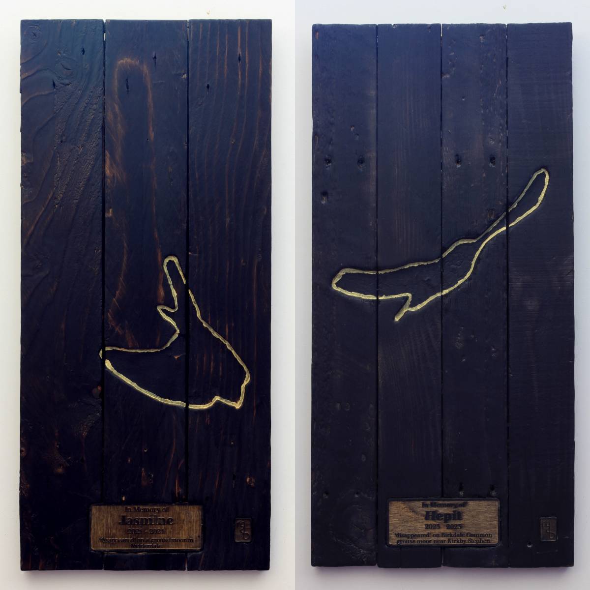 ‘Ghost sky dance’ – powerful new artwork documents the illegal killing of Hen Harriers on UK grouse&nbsp;moors