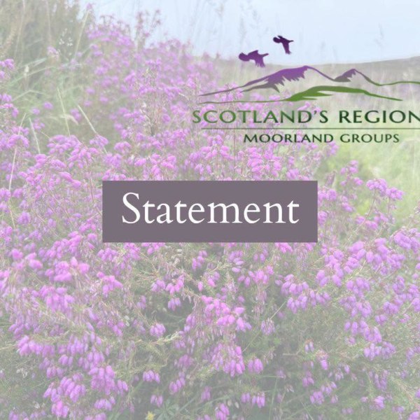 Shooting industry’s flawed analysis of RSPB raptor persecution&nbsp;data