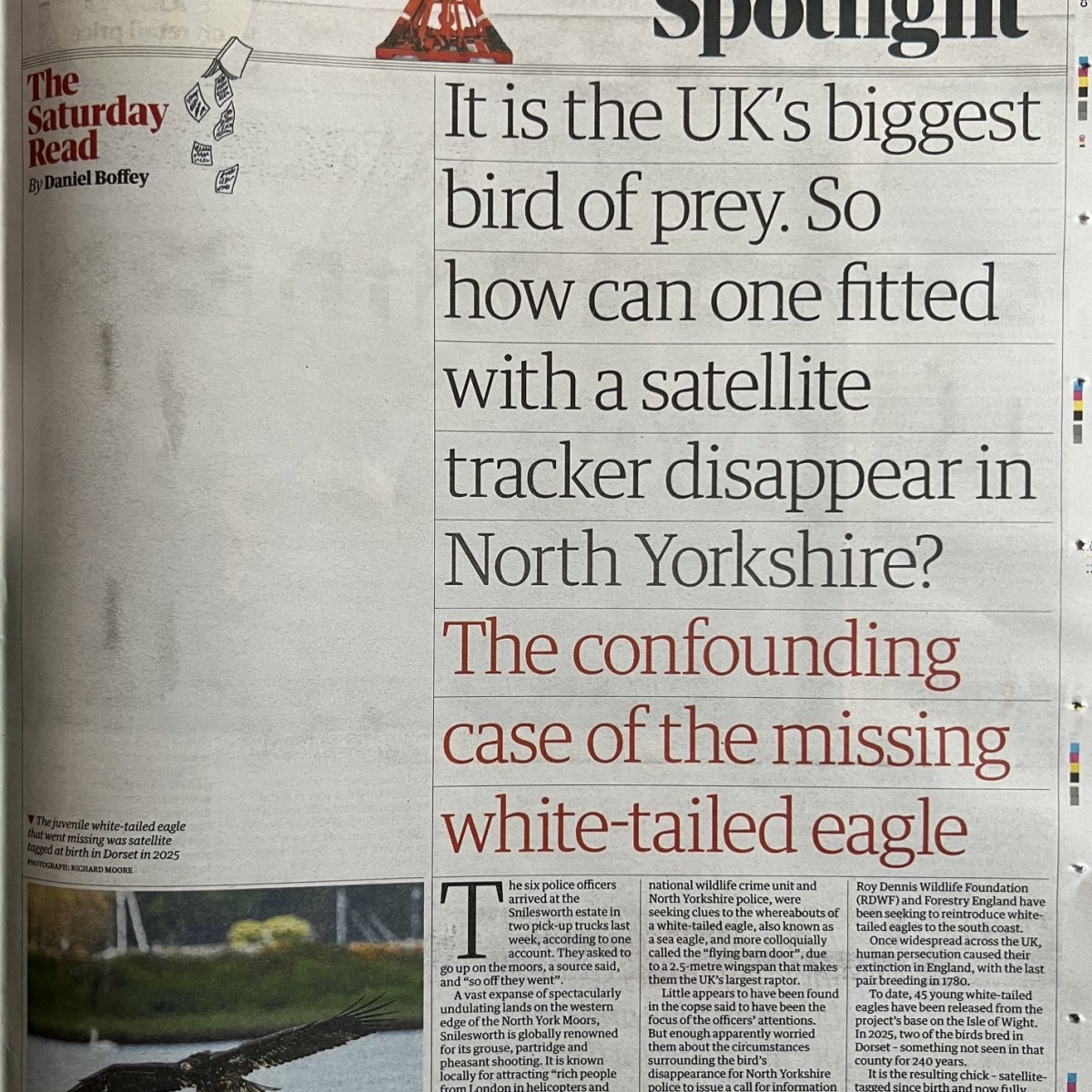 Satellite-tagged White-tailed Eagle ‘disappeared’ on Snilesworth Estate, North York Moors National&nbsp;Park