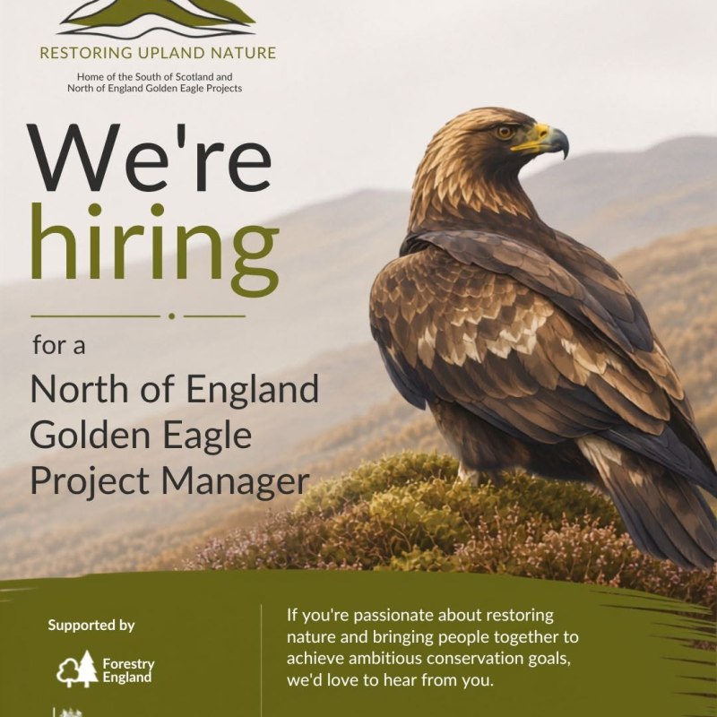 Job opportunity: North of England Golden Eagle Project&nbsp;Manager