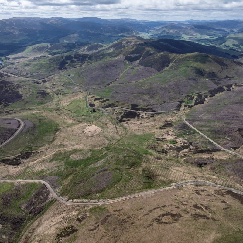 Guest Blog – Stobo Hope and Scottish Forestry: a portent for grouse&nbsp;moors?