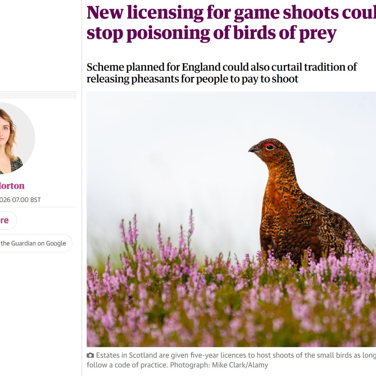 Pressure building on Defra to consider gamebird shoot licensing in&nbsp;England