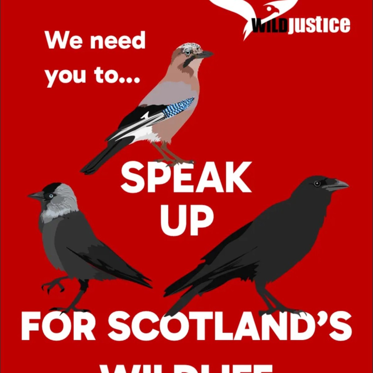 General Licence consultation (Scotland) – Wild Justice’s step-by-step&nbsp;guide