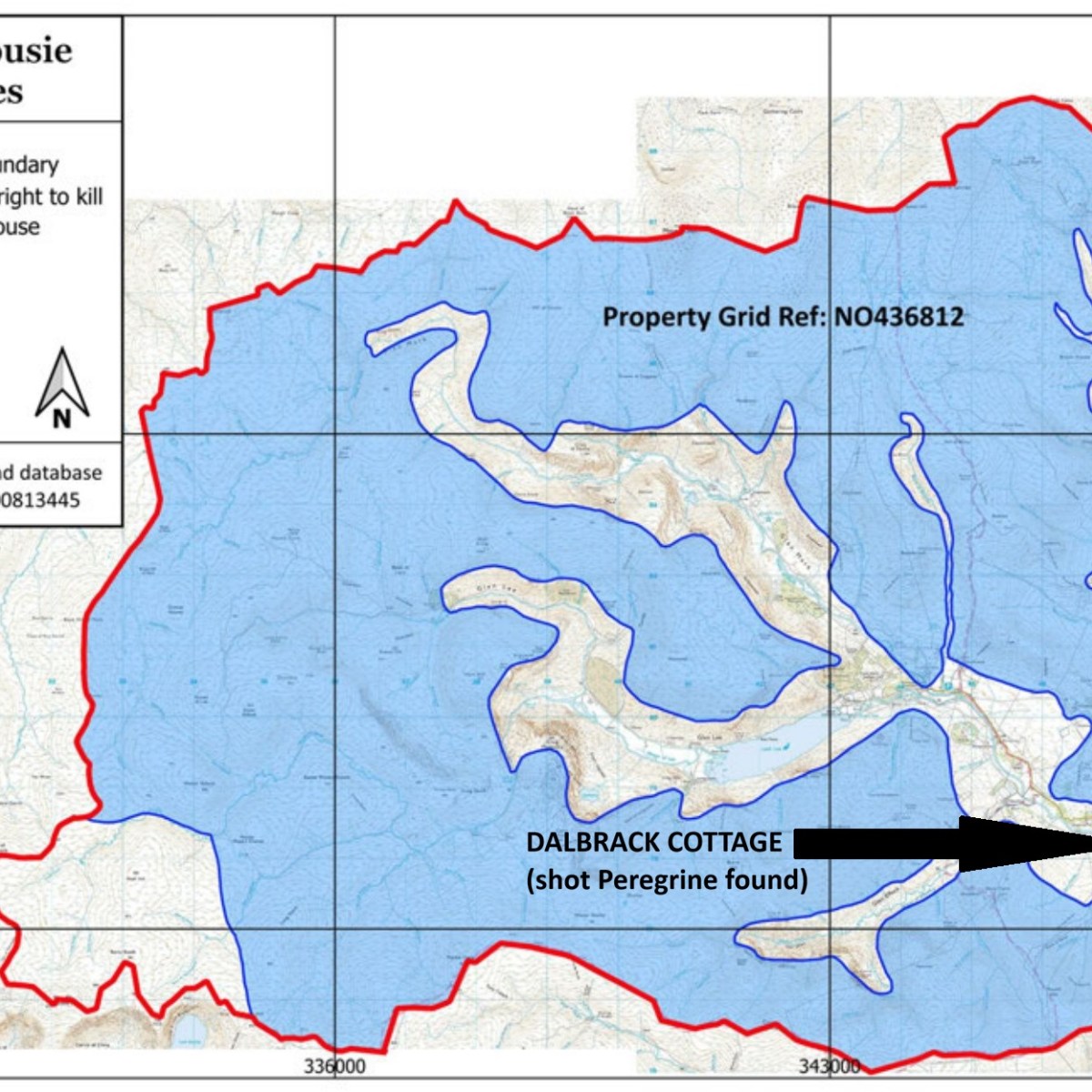 FoI reveals some inconsistencies in Invermark Estate’s claims about shot&nbsp;Peregrine