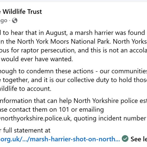 Yorkshire Wildlife Trust finds its voice & calls for Government action on raptor&nbsp;persecution