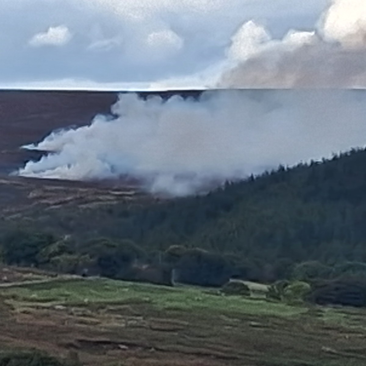 Grouse moors are still being burnt – and it’s killing us (guest blog by Bob&nbsp;Berzins)