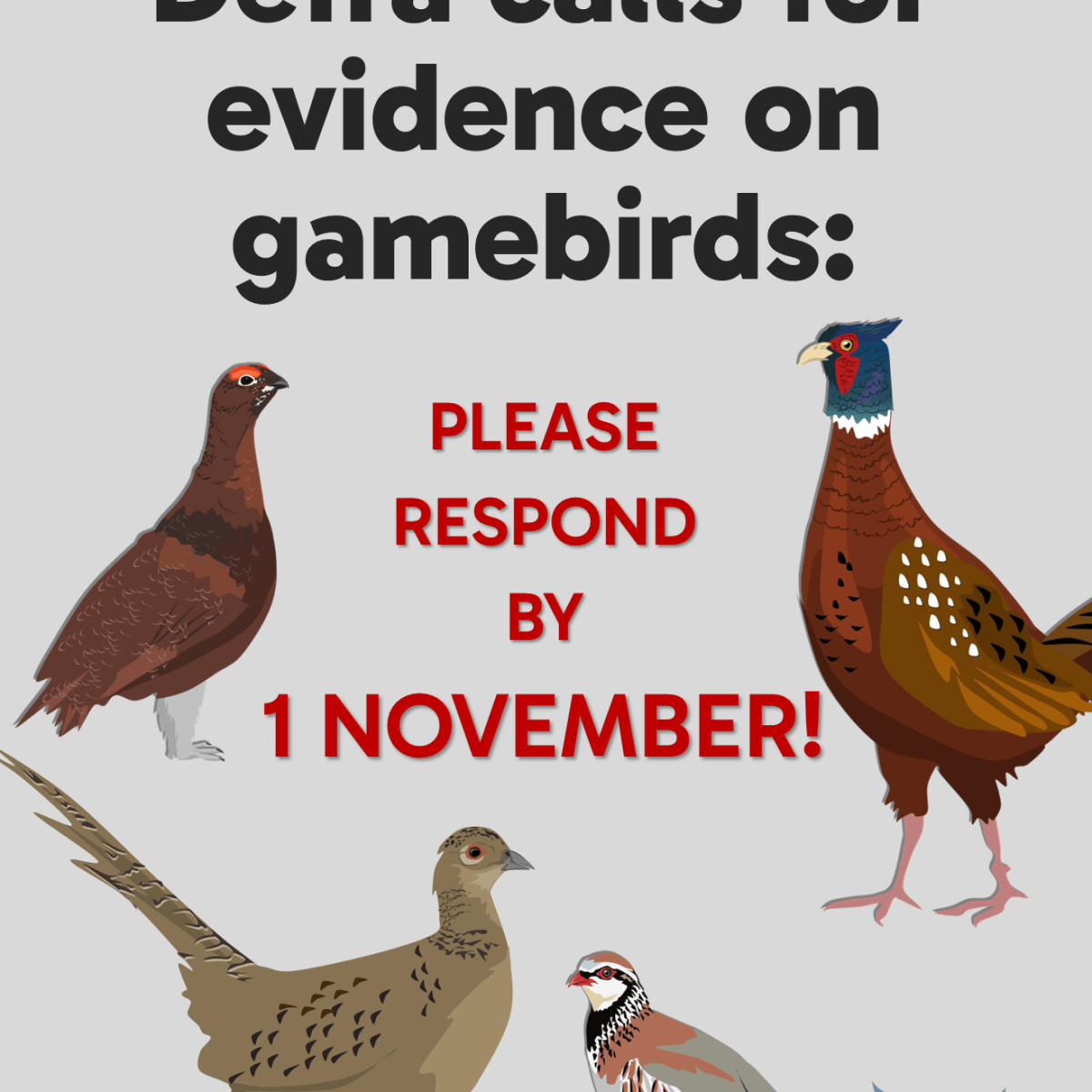 Defra’s Call for Evidence on gamebirds: what exactly is it asking for, and how can you&nbsp;help?